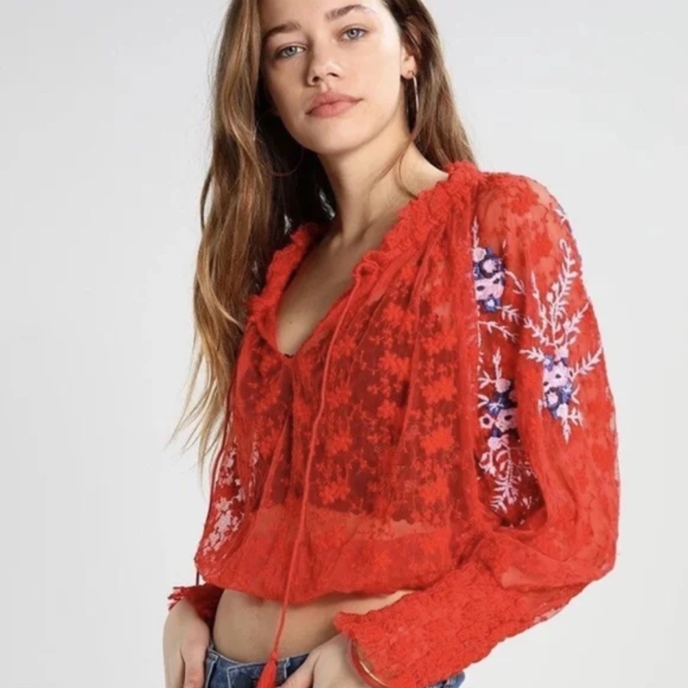 Free People Jubilee embroidered‎ mesh blouse Size Small